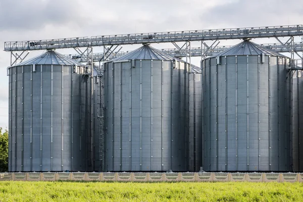 Elevador Celeiro Moderno Linha Limpeza Sementes Silos Prata Agro Processamento — Fotografia de Stock