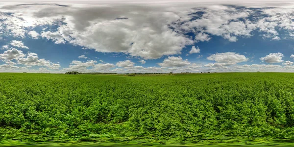 Panorama Esférico Sin Fisuras Hdri 360 Entre Los Campos Cultivo — Foto de Stock