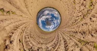 Mavi küre sarı kum zemininde dönüyor. Küçük gezegen döngüsü. 