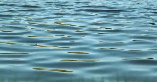 Κύματα Επιφανείας Νερού Από Λίμνη Θάλασσα Ωκεανό Ποτάμι Για Υφή — Αρχείο Βίντεο
