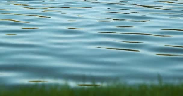 Povrch Vody Vlny Jezera Moře Oceánu Nebo Řeky Pro Pozadí — Stock video