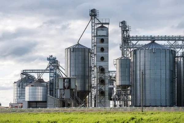 Modern Granary asansörü ve tohum temizleme hattı. Tarım işleme ve üretim tesisinde gümüş silolar depolama ve işleme için tarım ürünleri, un, tahıl ve tahıl kuru temizleme. 