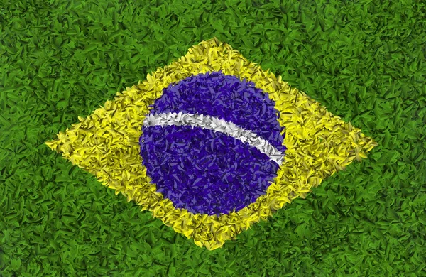 Vlag van Brazilië is verkregen van de bloemblaadjes — Stockfoto