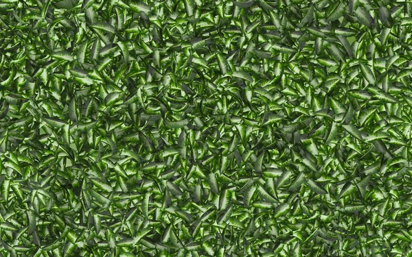 Green leaves background — Stock Photo, Image