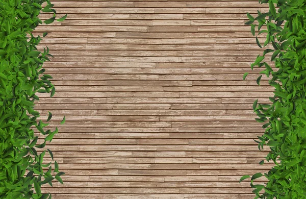 Fundo de madeira com folhagem verde . — Fotografia de Stock