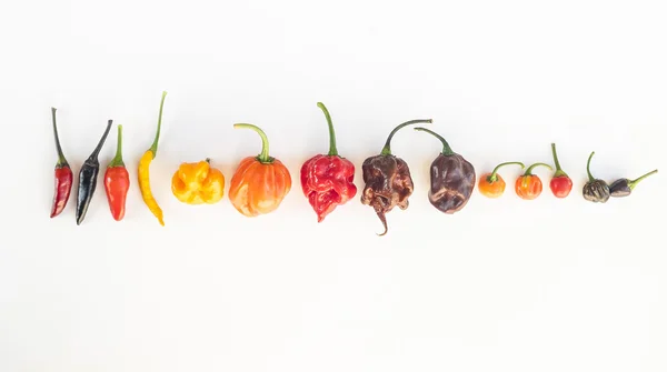 Un mix colorato dei peperoncini più caldi — Foto Stock
