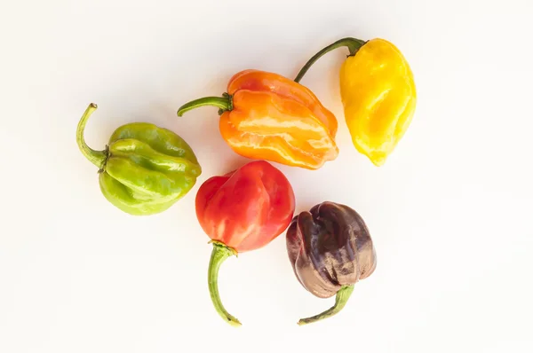A colorful mix of habanero chili peppers — Stockfoto