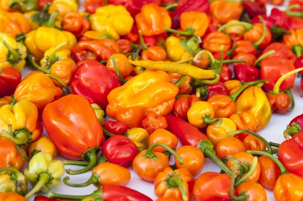 Un mix colorato dei peperoncini più caldi — Foto Stock