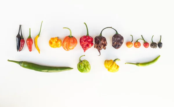 Barevný mix nejžhavější chilli papričky — Stock fotografie