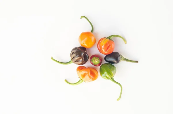 Barevný mix nejžhavější chilli papričky — Stock fotografie