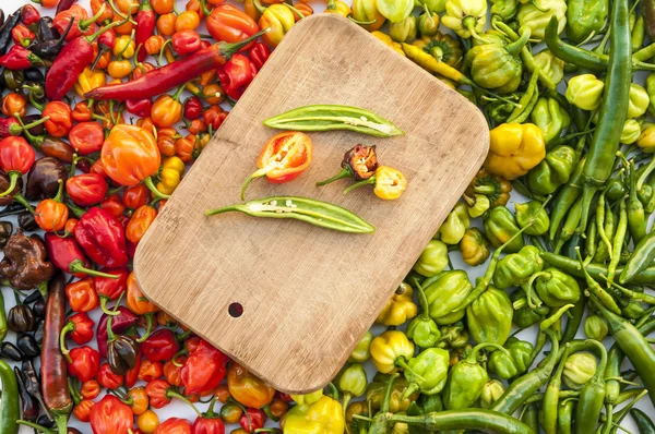 Een kleurrijke mix van de heetste chili peppers. — Stockfoto