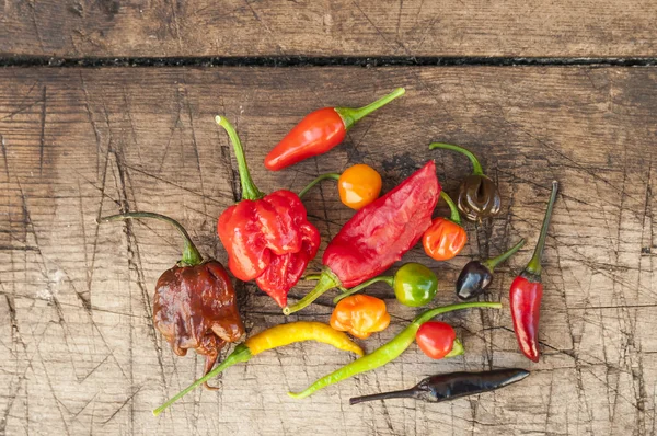 Een kleurrijke mix van de heetste chili peppers — Stockfoto