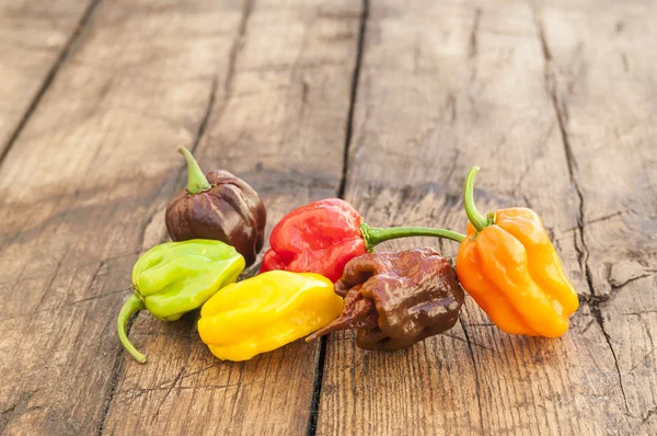 Een kleurrijke mix van de heetste chili peppers — Stockfoto