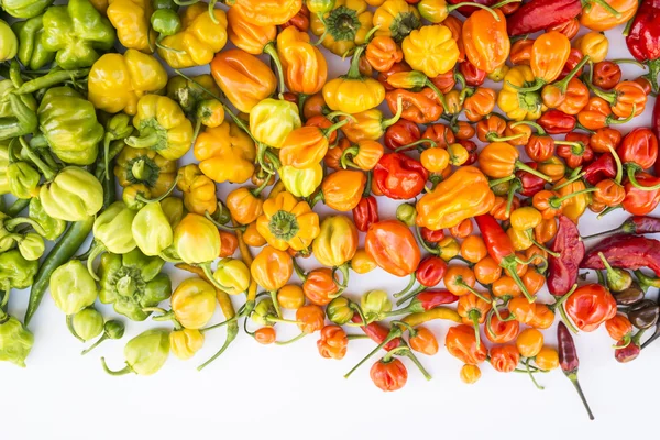 Barevný mix nejžhavější chilli papričky — Stock fotografie