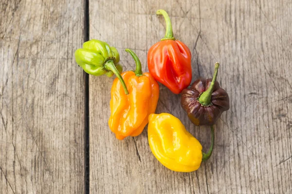 Verse habanero pepers, — Stockfoto