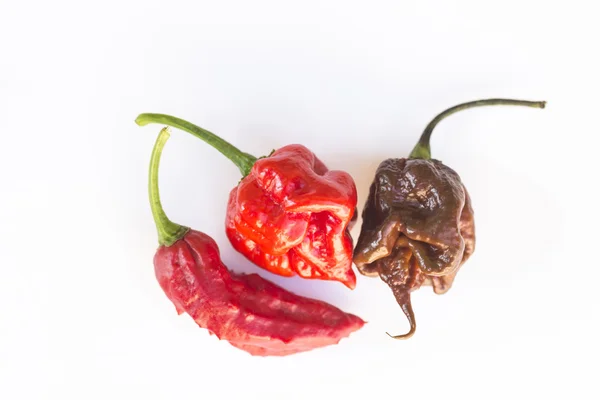 Tiga cabai terpanas di bumi, bhut jolokia, ghost chili, caro — Stok Foto