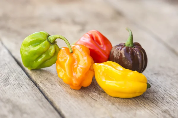 Čerstvé habanero paprika, — Stock fotografie