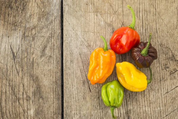 Čerstvé habanero paprika — Stock fotografie