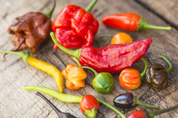 Barevný mix nejžhavější chilli papričky — Stock fotografie