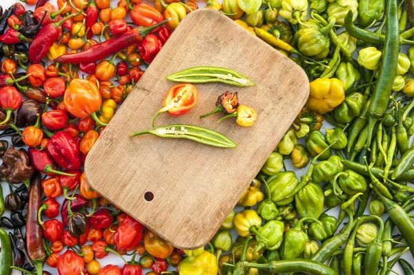 A colorful mix of the hottest chili peppers. Royalty Free Stock Photos