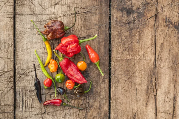 Een kleurrijke mix van de heetste chili peppers Rechtenvrije Stockfoto's