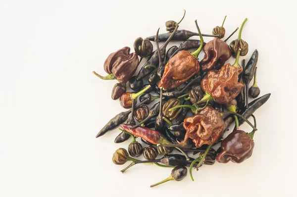 Una collezione di peperoncini marroni, al cioccolato e neri Foto Stock Royalty Free