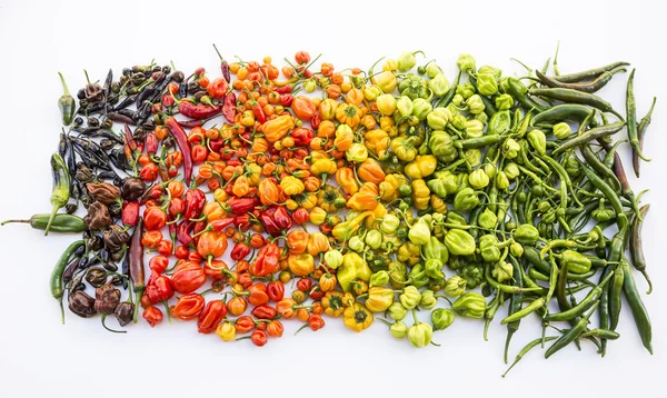 Een kleurrijke mix van de heetste chili peppers Stockfoto