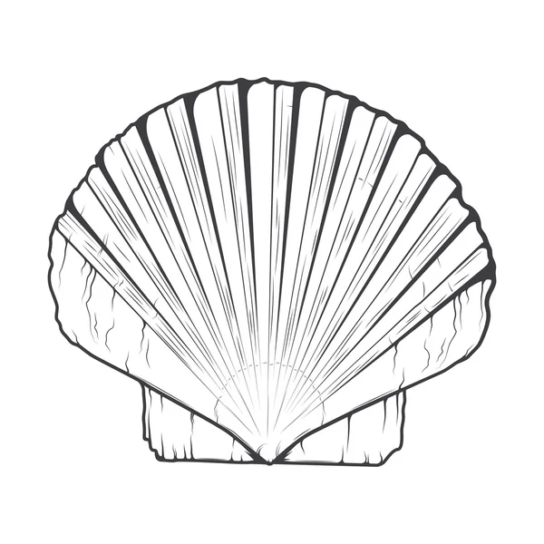 Sea Shell isolado em um fundo branco. Arte de linha monocromática. Design retrô. Ilustração vetorial . —  Vetores de Stock