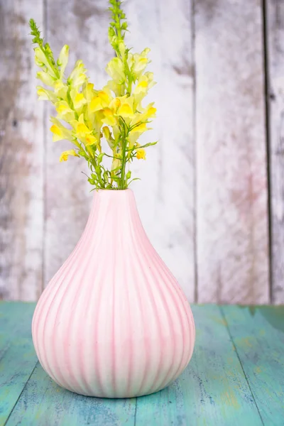 Wild yellow flowers in a vase, bouquet on blue wood background — Stock Photo, Image