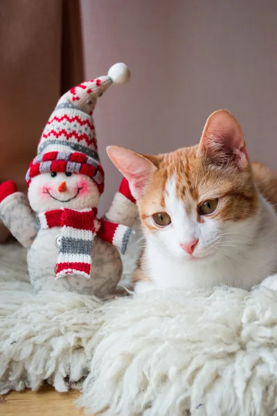 Rote Katze sitzt in der Nähe eines Schneemanns — Stockfoto