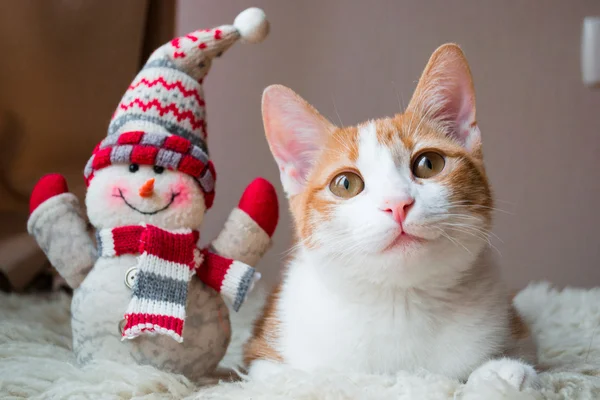 Red cat siting near snowman — Stock Photo, Image