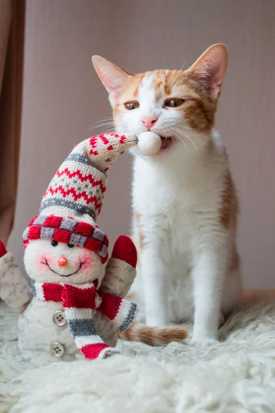 Chat rouge assis près du bonhomme de neige — Photo