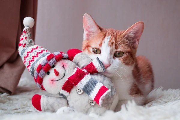 Röd katt lokalisering nära snögubbe — Stockfoto
