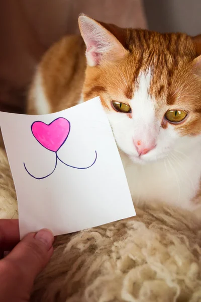 Ginger cat med ett leende klistermärke — Stockfoto