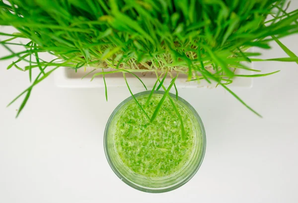 Зеленый органический шелк пшеницы готов к питью — стоковое фото