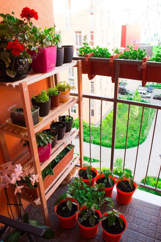 Small herb and flower garden built on small balcony garden