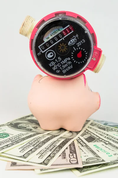 Een watermeter met een roze piggy bank — Stockfoto