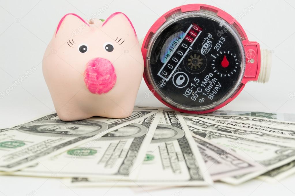 A water meter with a pink piggy bank