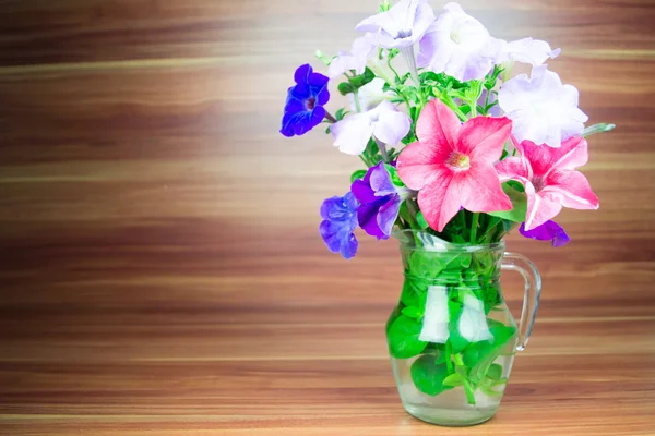 Colorful petunia blooms in a glass pitcher — Stock Photo, Image