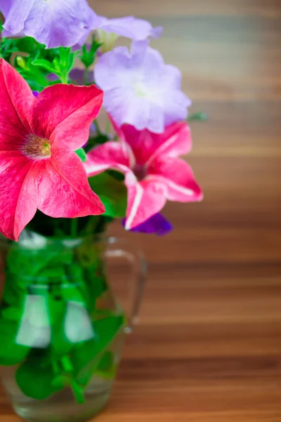 Colorful petunia blooms in a glass pitcher — Stock Photo, Image