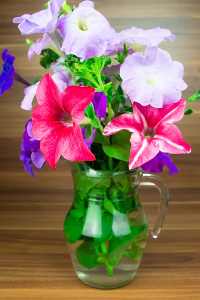 Colorida petunia florece en una jarra de vidrio —  Fotos de Stock