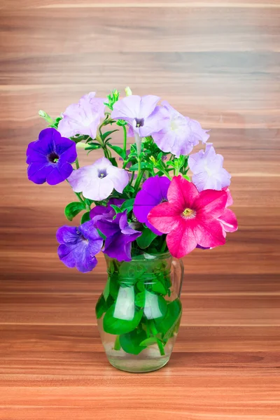 Colorful petunia blooms in a glass pitcher — Stock Photo, Image