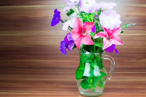 Colorful petunia blooms in a glass pitcher — Stock Photo, Image