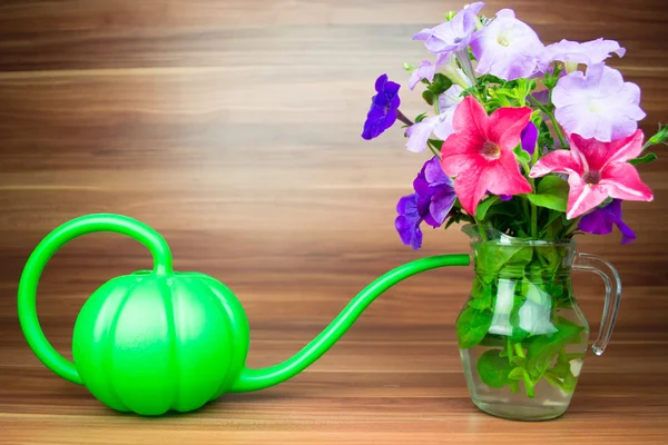 Colorful petunia blooms in a glass pitcher with watering can — Stock Photo, Image
