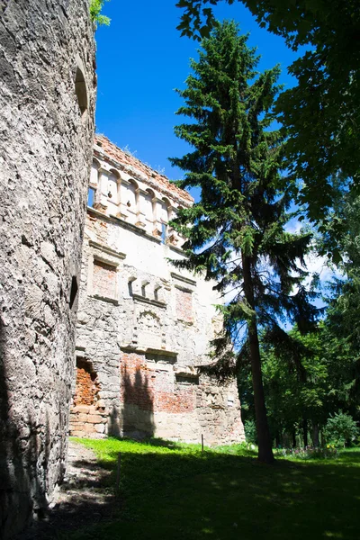 Halb zerstörte Sieniawski-Burg — Stockfoto