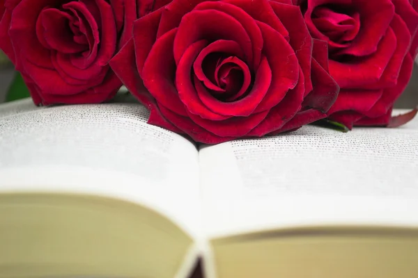 The open book and red roses. Close up — Stock Photo, Image