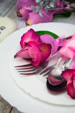 tatil romantik Tablo ayarı ile beyaz zemin üzerine pembe Gül