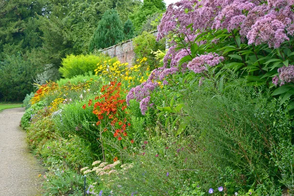 Färgglad Trädgård Gräns Med Blandad Plantering Och Ett Stort Euforatorium Stockbild