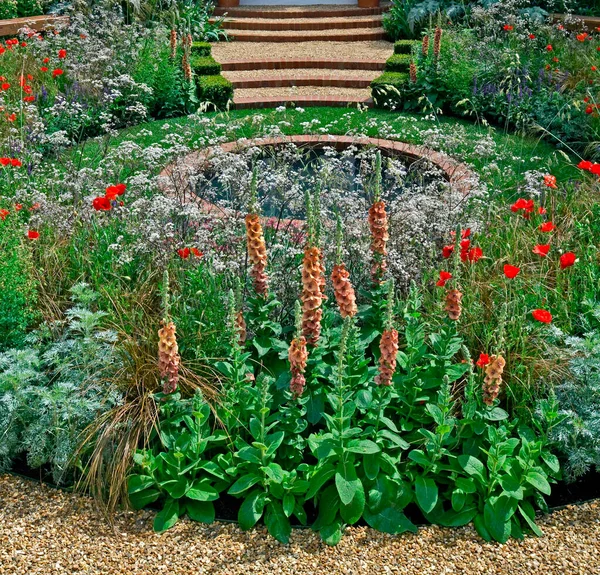 Colourful urban garden flower border with Verbena and Poppies