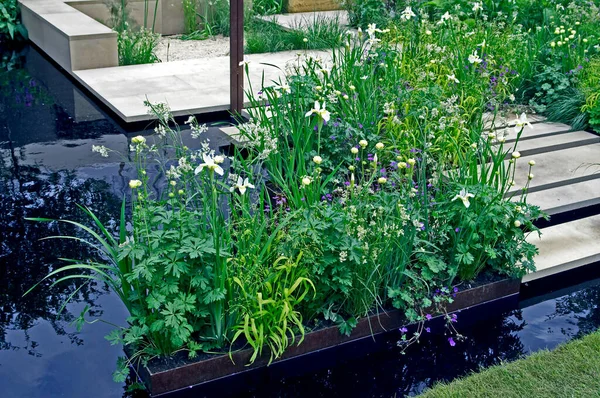 Calm and peaceful flower planting with water feature in a modern urban garden